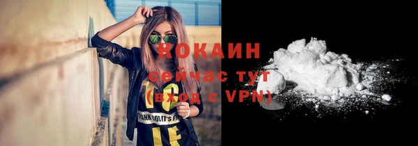 дживик Зеленокумск