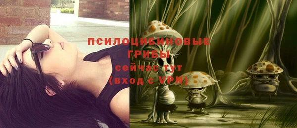 дживик Зеленокумск