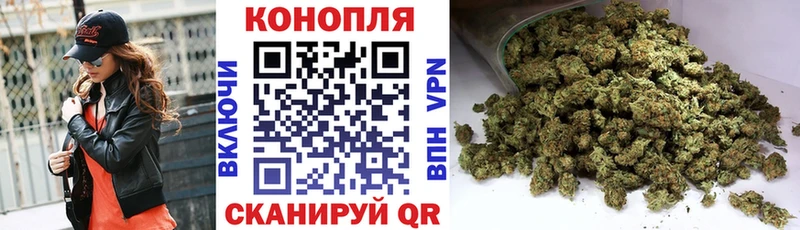 Купить  Жиздра  Канабис сатива 
